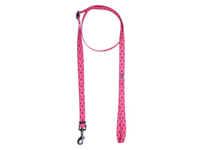 Rukka pets Twist x leash