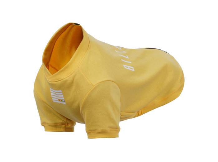 Rukka pets x Billebeino Buddy sweater