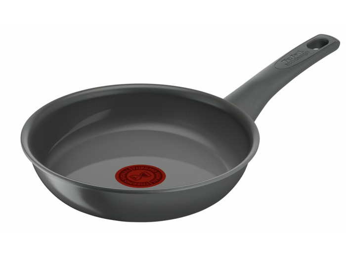 Renewal Frypan 20 cm Grey