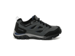 Holcombe IEP Low / Holcombe IEP Low