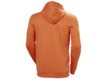 NORD GRAPHIC PULL OVER HOODIE