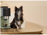 Coffee crush coffee machine 1,8L Green Lichen
