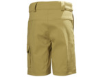 JR HH QD CARGO SHORTS