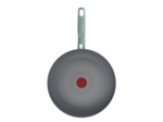 Halo Eucalyptus Ptfe Fry pan 28 cm, light green