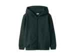 Regular Fit Hoodie Long Sleeves (L/S)