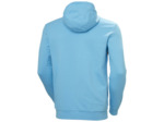 SALT COTTON HOODIE