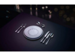 Fächer 30 pcs set, protect, polished