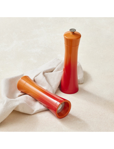 Modern Salt or Pepper Mill