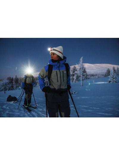 Halti best friends offer: -20% additional discount