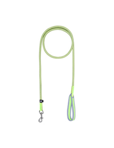 Brightly leash