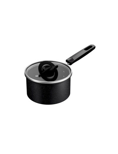Expertise Ptfe Sauce pan 16 cm/1,7 l. w. lid