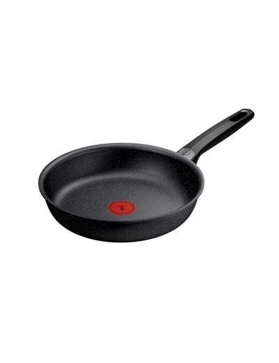 Expertise Ptfe Fry pan 24 cm