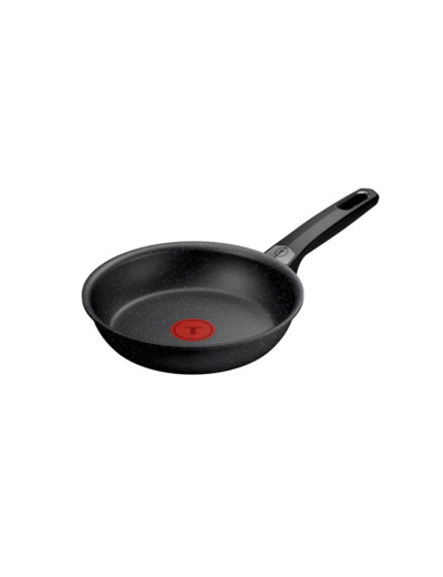 Expertise Ptfe Fry pan 20 cm
