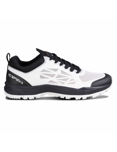 Icepeak Andulo Ms