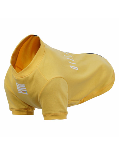 Rukka pets x Billebeino Buddy sweater