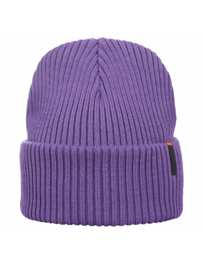 Icepeak Hodge