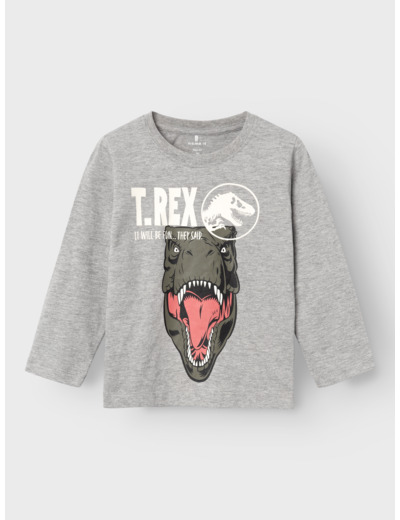 Regular Fit O-Neck Long Sleeves (L/S)