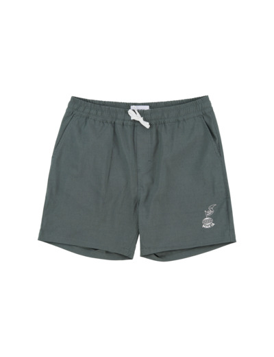 North Hybrid Shorts