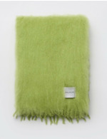 Couleur-8c33e4bf-be72-464c-84a6-27a201fad55e