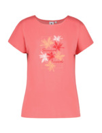 Couleur-ee422b44-f5af-4faf-a19f-b890d61ace92