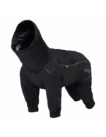 Couleur-84d9ac03-f900-411b-be91-0d8610d4fc2f