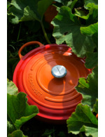 Couleur-b997a3bd-9307-4f7e-9953-955f39de7df3