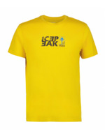 Couleur-ccffd563-e20a-4d2a-8194-20e1cce6988e