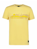 Couleur-de402e41-88af-4b91-b18e-cc6c4cbfcd4c