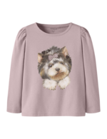 Couleur-1348f600-36f6-4036-9039-c7886030445a