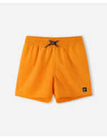 Couleur-0420c03b-c3a4-4153-905e-42c0e5e57051