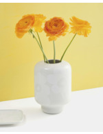 Couleur-ce5bd866-3043-40a8-abce-8308f81ad011