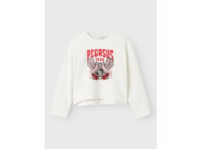 Batch of sweatshirts 10€/piece