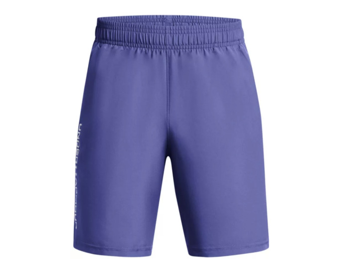 Kids UA Woven Wdmk Shorts