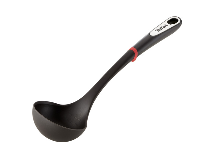 Ingenio Ladle