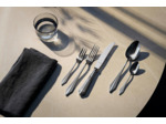 Fächer 30 pcs set, protect, polished