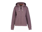 Icepeak Plover