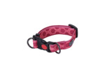 Rukka pets Twist x collar