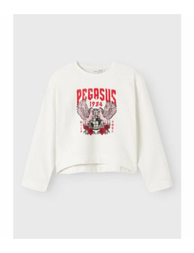 Batch of sweatshirts 10€/piece