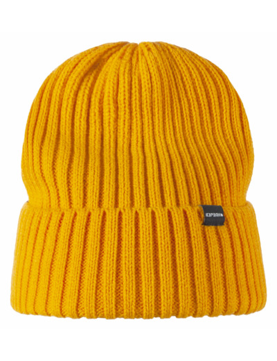 Icepeak Havre Jr