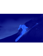 Couleur-7307ae3b-e805-4f31-8da3-1c4de320f143