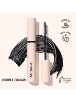 Couleur-1254ce07-9ffe-4b46-a08f-163469816547