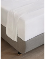 Couleur-02fd5c5f-e36d-42f3-82ac-4758ac626fd5