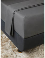 Couleur-02fd5c5f-e36d-42f3-82ac-4758ac626fd5
