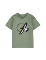 Couleur-0f5a82e4-6159-4894-ae86-d27883413e46