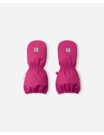 Couleur-f8e2c5a3-8a3b-4122-9f2a-bfb91a5c7c52