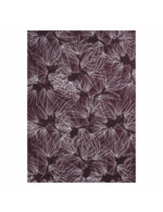 Couleur-963a1943-fafa-4a68-861e-205b81777a29